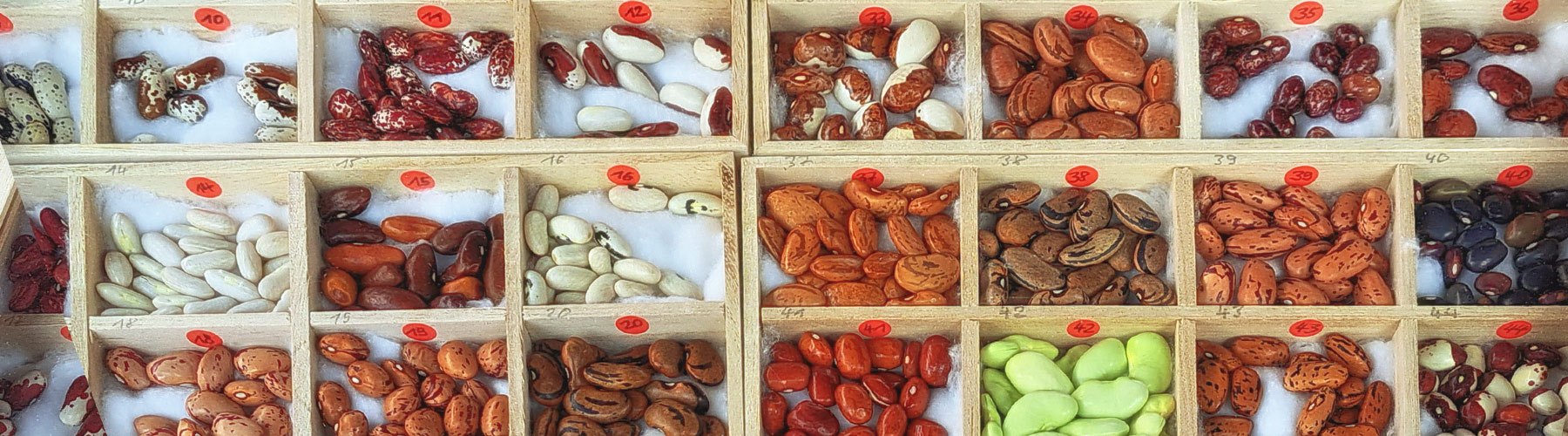 20220730 115738 1800x500